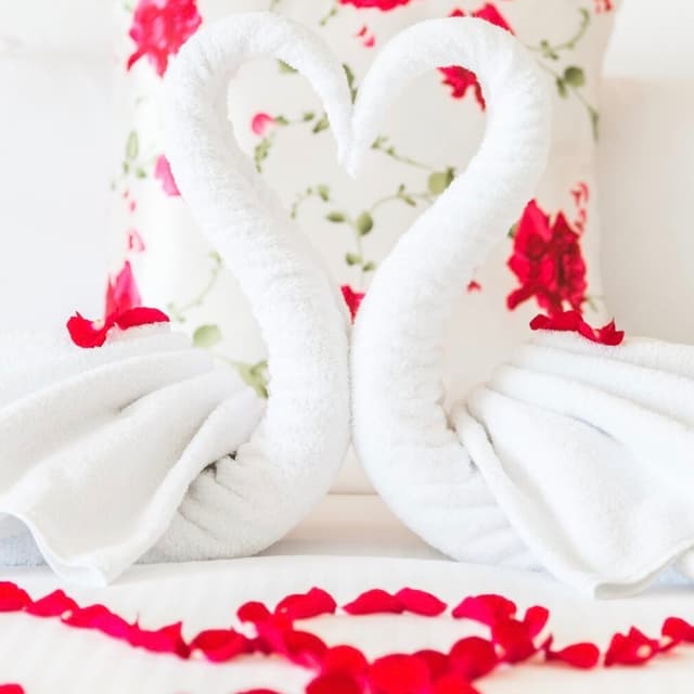 The 5-Point Restoration(for couple) at Bliss Beauty Bar in Houston, TX